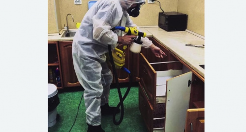 Уничтожение насекомых в квартире. Урюпинск