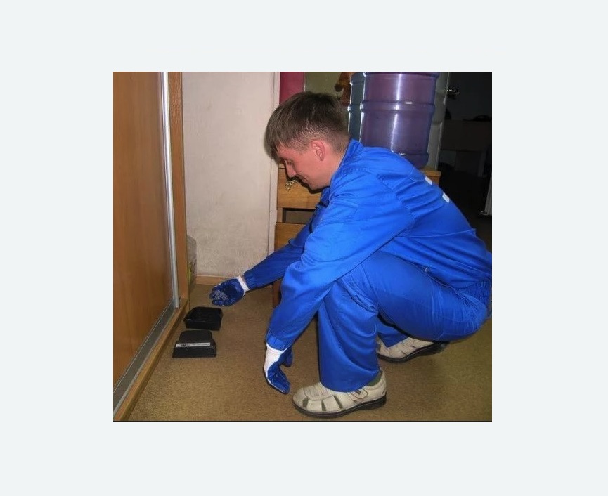 Дератизация крыс в Урюпинске