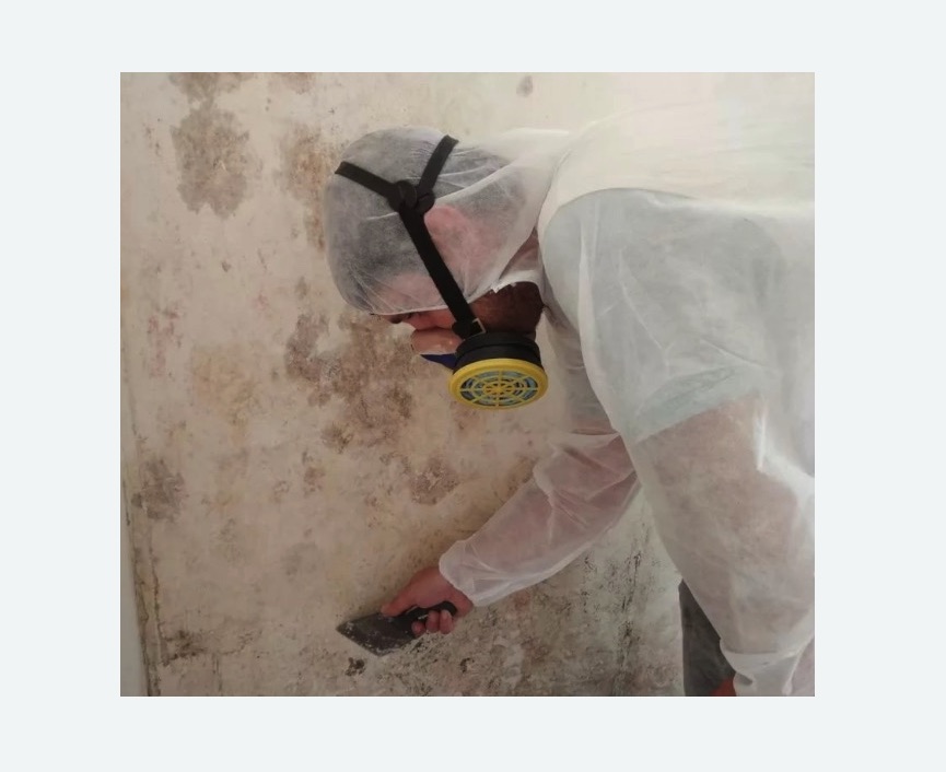 Обработка стен от плесени в Урюпинске