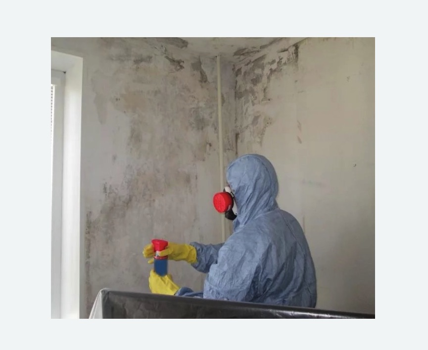 Удаление плесени в квартире в Урюпинске