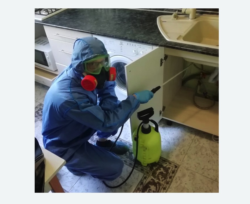 обработка от муравьев в квартире в Урюпинске